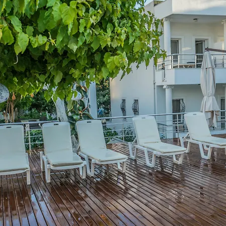 Costa Maya فندق