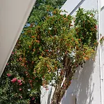 Costa Maya