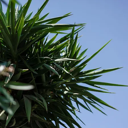 Szálloda Costa Maya 3*