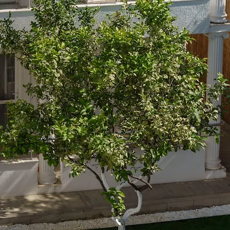 Szálloda Costa Maya Bodrum